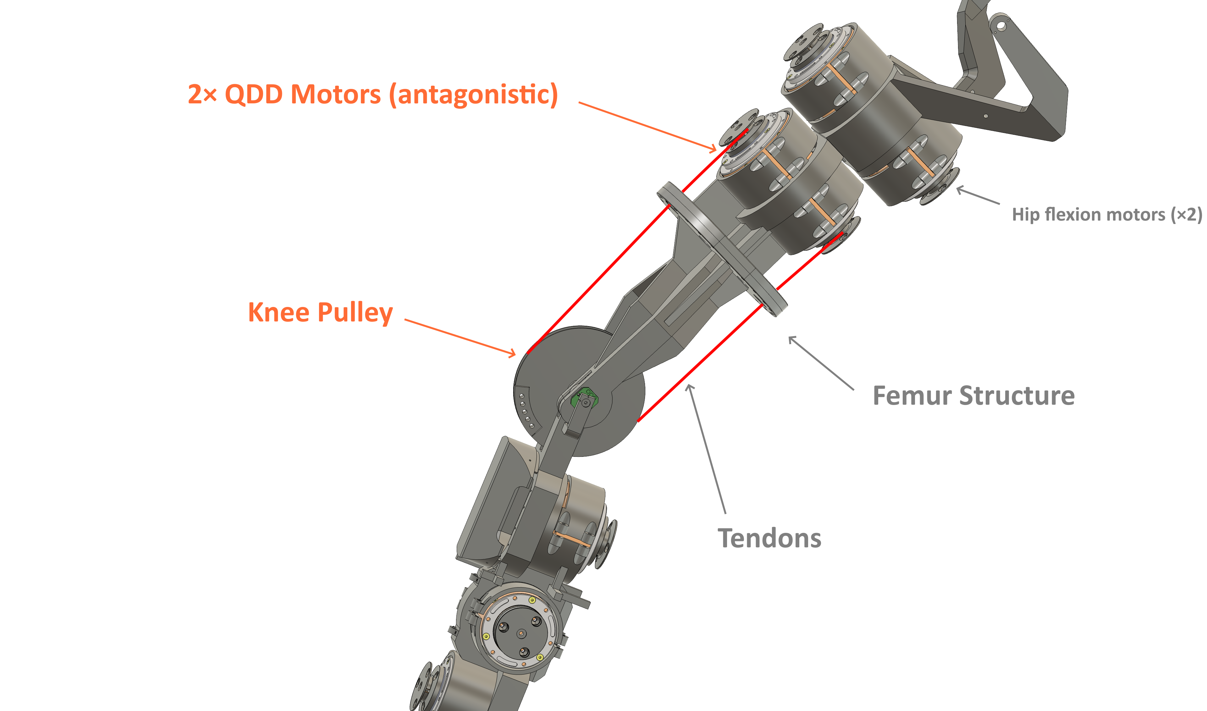 Knee assembly - annotated internal layout