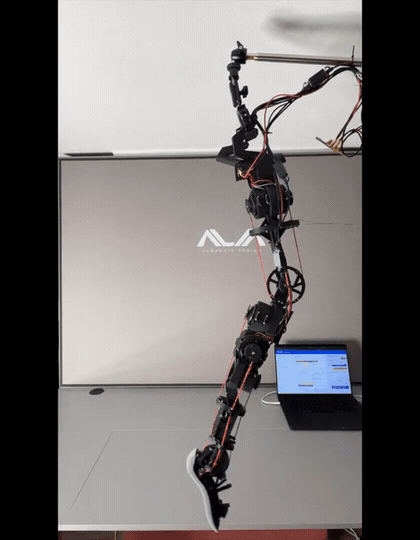 Right knee prototype - 1-DOF motion test