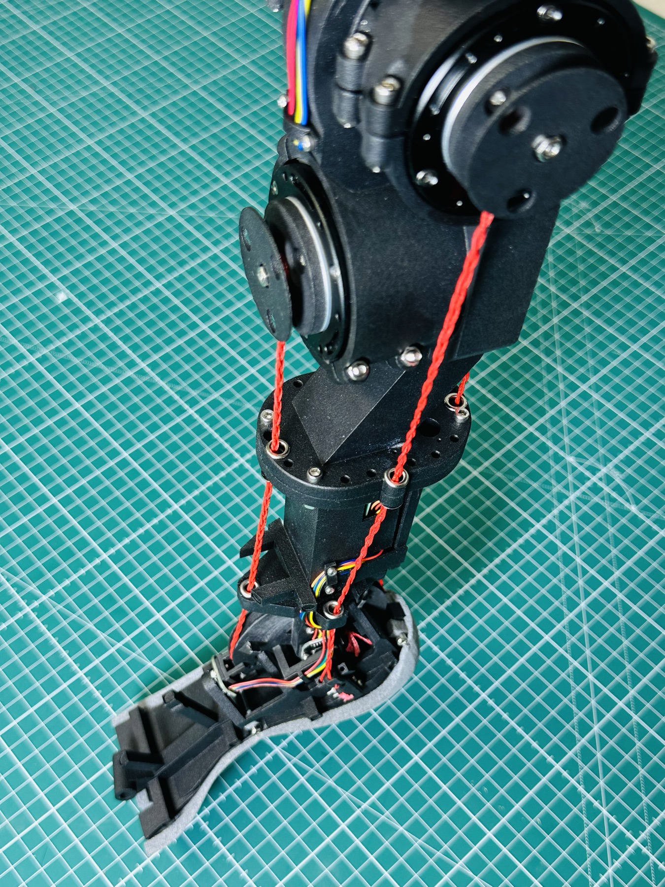 Prototype photo - full leg assembly
